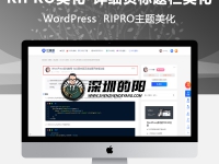 RIPRO主题美化-详细页标题栏显示头像+作者+发布时间+浏览量