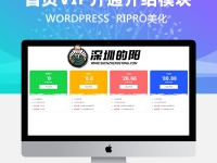 RIPRO主题美化-首页VIP介绍引导美化（样式+文件）