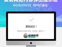 RIPRO主题美化-网站实现复制内容弹出提示框