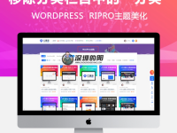 RIPRO主题美化-移除分类栏目标题中的“分类”二字