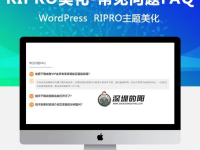 RIPRO主题美化-主题文章页添加“常见问题FAQ”