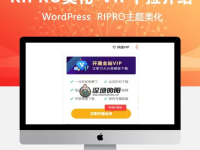Ripro主题美化-导航栏VIP会员下拉分类介绍