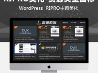 RIPRO主题美化-资源类型判断图标