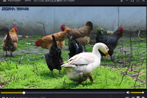 农村生活视频素材下载（128个无水印）