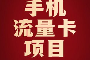 手机流量卡项目介绍