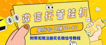 (8731期)微信托管挂机，单号日赚50-80，项目操作简单(附无限注册实名微信号教程)