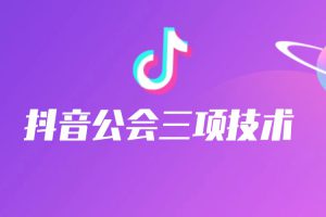 抖音公会三项技术