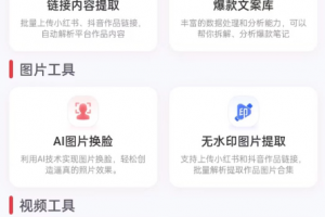 红抖AI助手 自媒体创造搬运​