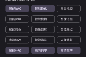 鲁班搭档-AI算法视频搬运-去重神器