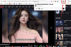 高级版网页视频下载神器Video downloadhelper