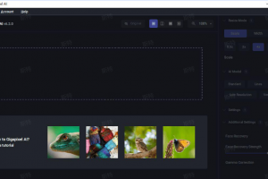 图片无损放大Topaz Gigapixel AI 绿色版​