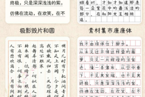 手写模拟王