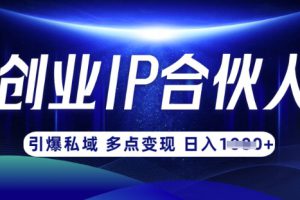 云帆·创业ip合伙人打造3.0，从0到1教你做网创，实现月入过W