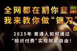 全网都在割你韭菜，我来教你做镰刀，2025普通人如何通过知识付费，实现财F自由【揭秘】
