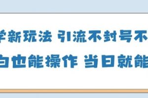 国学新玩法，引流不封号不违规小白也能操作，当日就能变现