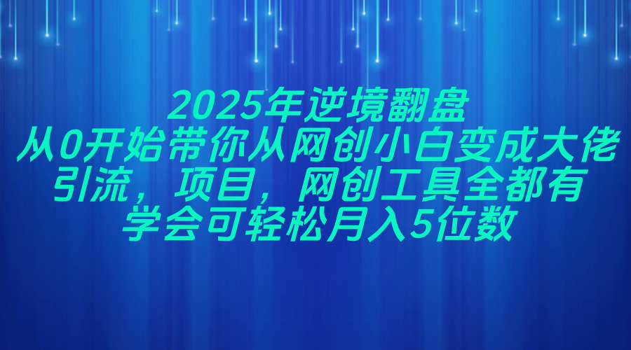 2025年逆境翻盘，从0开始带你从网创小白变成大佬，引流，项目