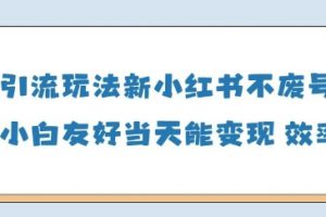 男粉引流玩法(新)，玩法友好做的好当天就能变现
