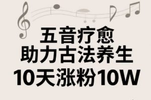 古法五音養生教程,五音療愈的視頻的制作方法,2-4小時就能學會,作者10天漲粉10W