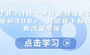 小红书3分钟一条作品精准引流创业粉300+,打造属于自己的流量帝国